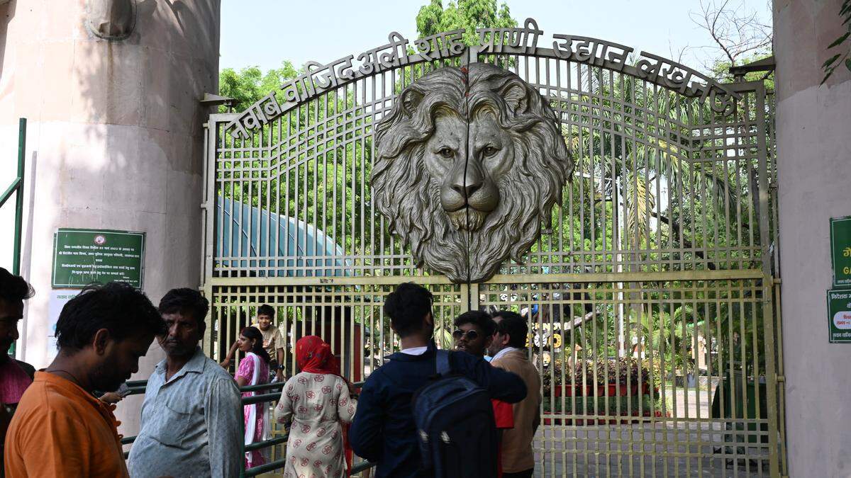Bird flu fear in up, two more zoo closed, monitoring on poultry farms has increased