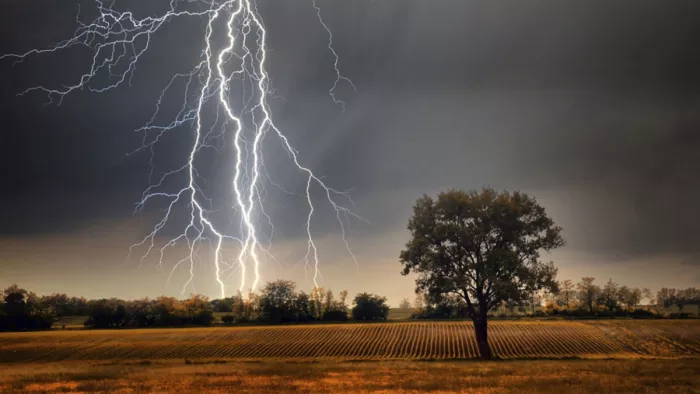 Two deaths due to storm and rain destruction in UP, heavenly lightning and fall trees; Cracks in three houses – Up Weather Update Lightning and Storms Kill Two in Kushinagar Damage Homes