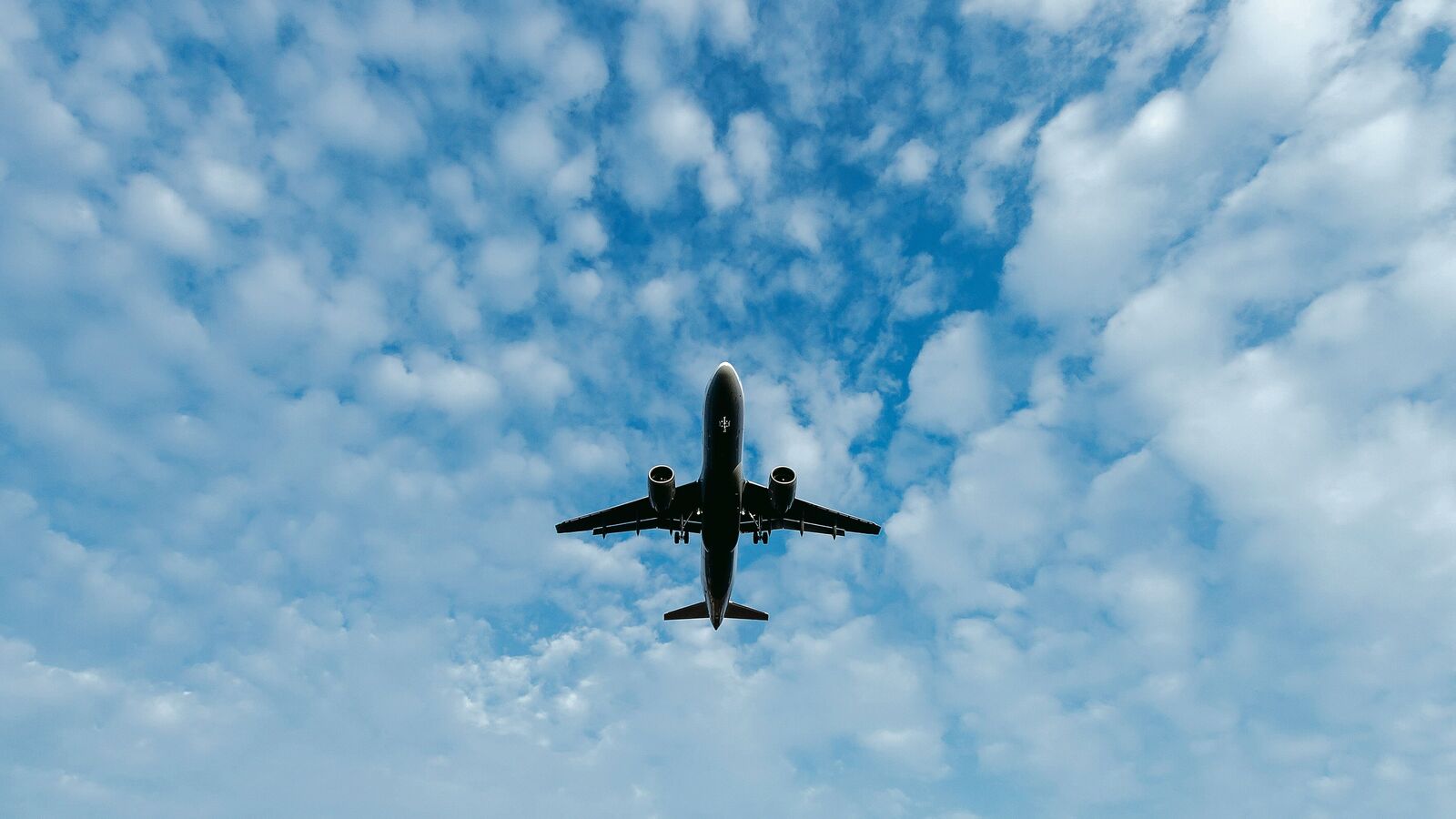 Air India Lobbies government to stop the rival indigo rental of the Turkish Airlines: Report | Company Business News