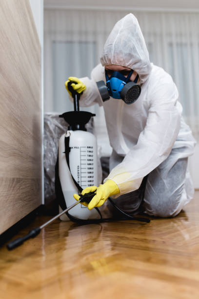 Why is it necessary to get a paste control in the house?