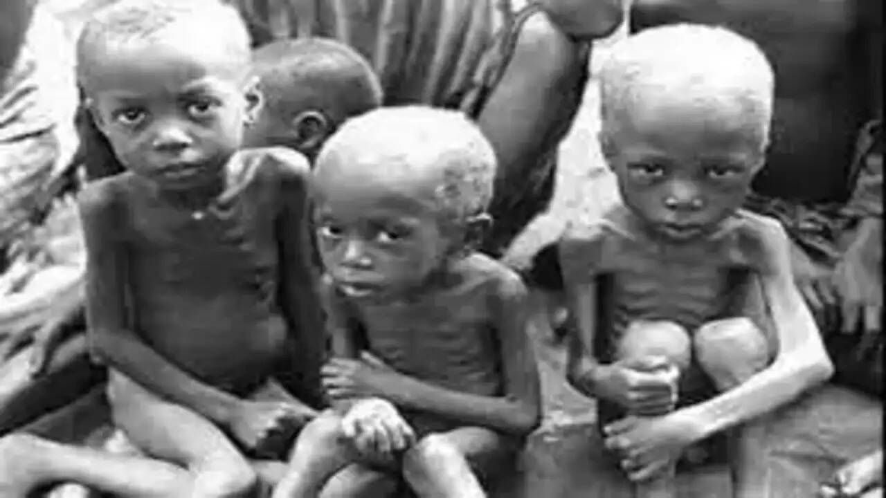 Chappaniya famine tragedy in a 3 -minute document tree! If people suffering from hunger, wife and children, tears will come out after seeing the scene