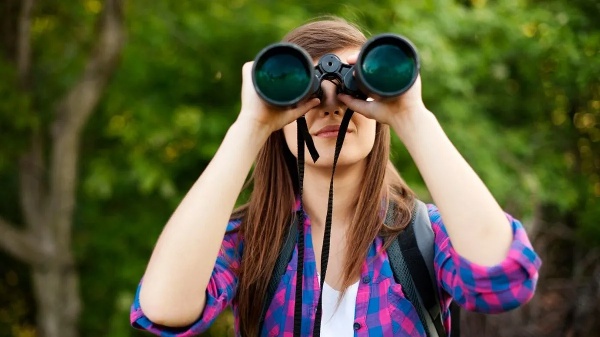 Top 10 binoculars for long -distance business and sharp detail: footage outside horizon