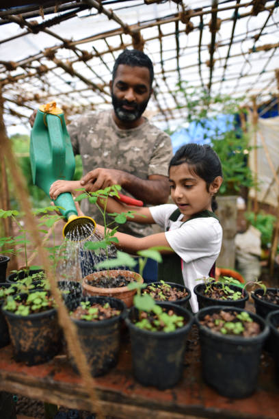 Keep plants in summer green
