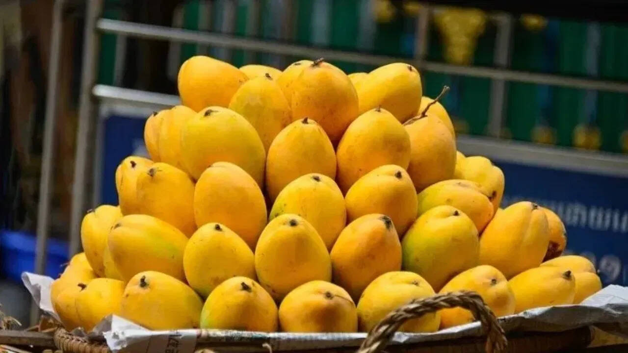Eat Mangos with Studies … 67 variety is available here, this college is incredible