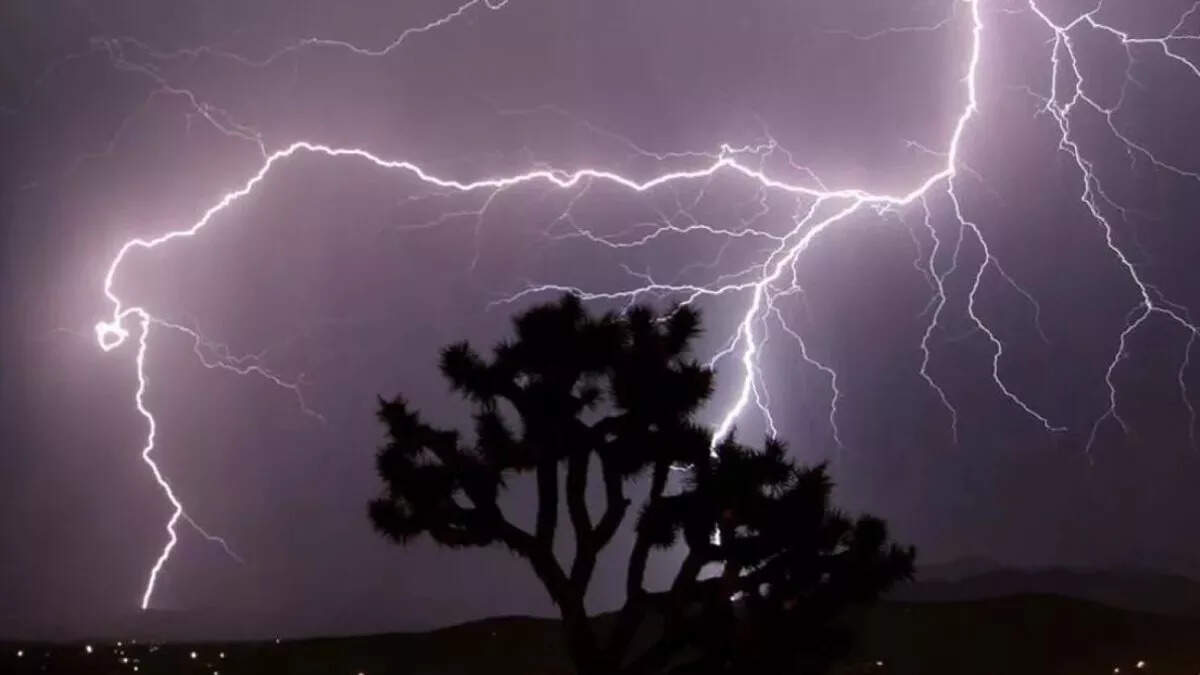 6 People died due to heavenly lightning in Bihar, CM Nitish announced compensation of 4-4 lakhs