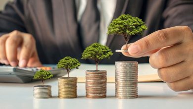 Dividend Stocks: Ashok Leyland, Havells India, Ltimindree, among other things to trade ex-dividend next week; Complete List | Einsmark news
