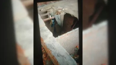 In many parts of Noida, the storm caused destruction, tin sheets of dozens of houses fed; Walls fell somewhere – storm damage in the Jewish and Rabupura houses collapsed