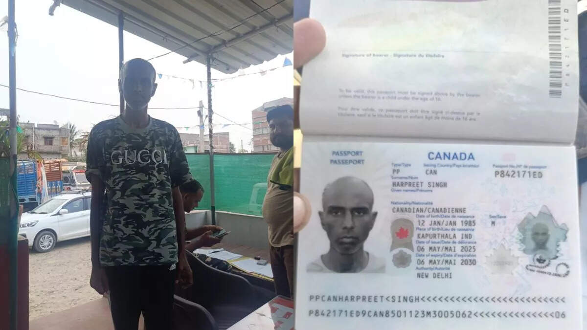 Chinese Citizen entering Nepal in India