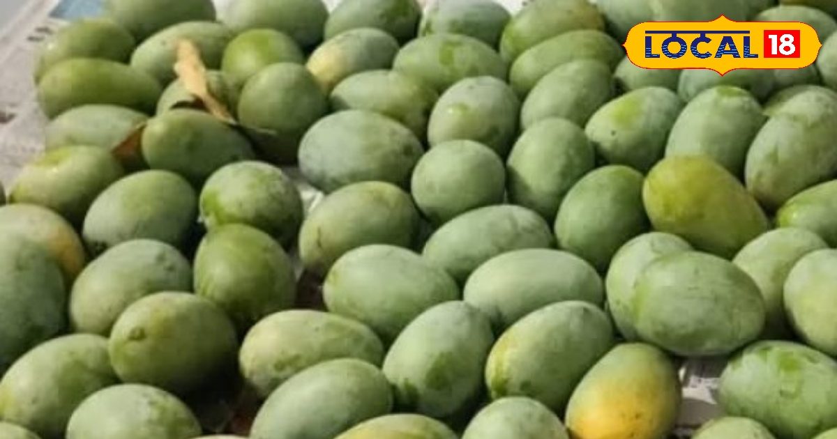 What is the specialty of Mangos of Rampur? Identify the actual falsehood during the purchase