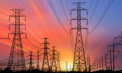 India will show the achievements of its power sector at the meeting of Brics energy ministers