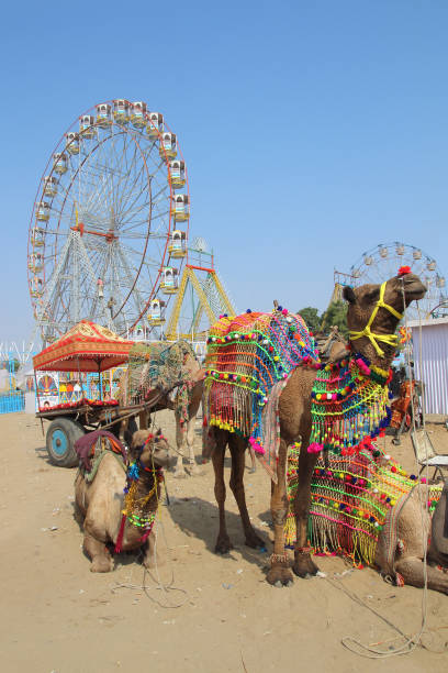 10 famous festivals of India