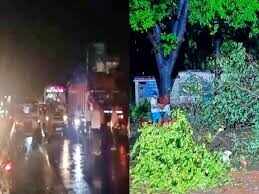 If there was a fire in Bagaha, the tree caught fire, see the horrific views of thunderstorms in Bihar
