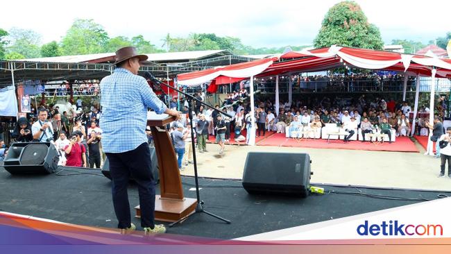 Cow -auction in central -java, Muzani Call Prabowo wants a thick breeders wallet