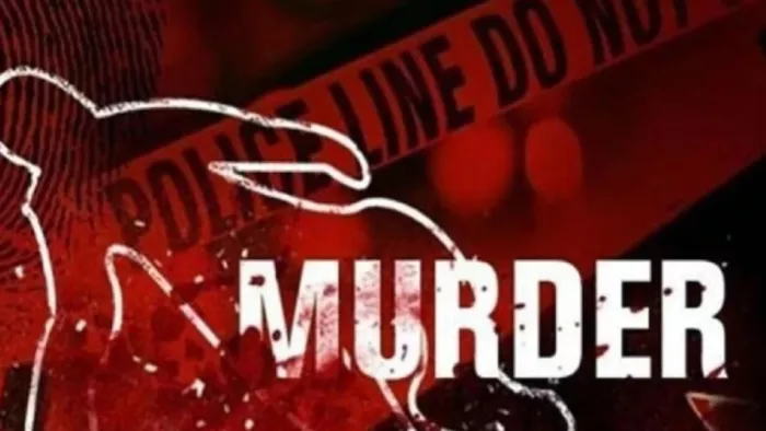 Bloody play in Delhi gave man a terrible death to brother -in -law; Sister was angry about her marriage – Ncr Delhi Shocker Brother killed Sisters Fain about forced marriage