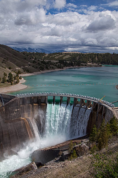 10 largest dams in India