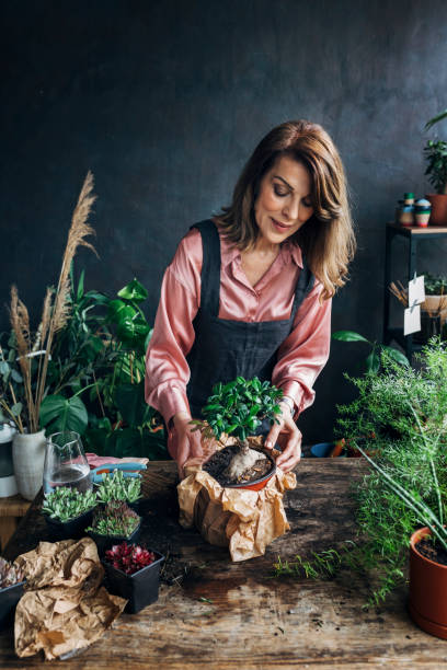 10 Easy Tips To Cultivate Flowers In Winter