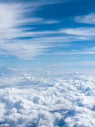 Why does the sky look blue?