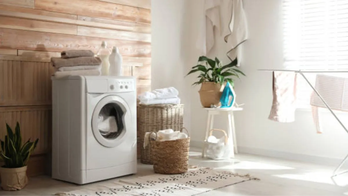 Which washing machine is best for bachelor of bachelor? (May 2025)