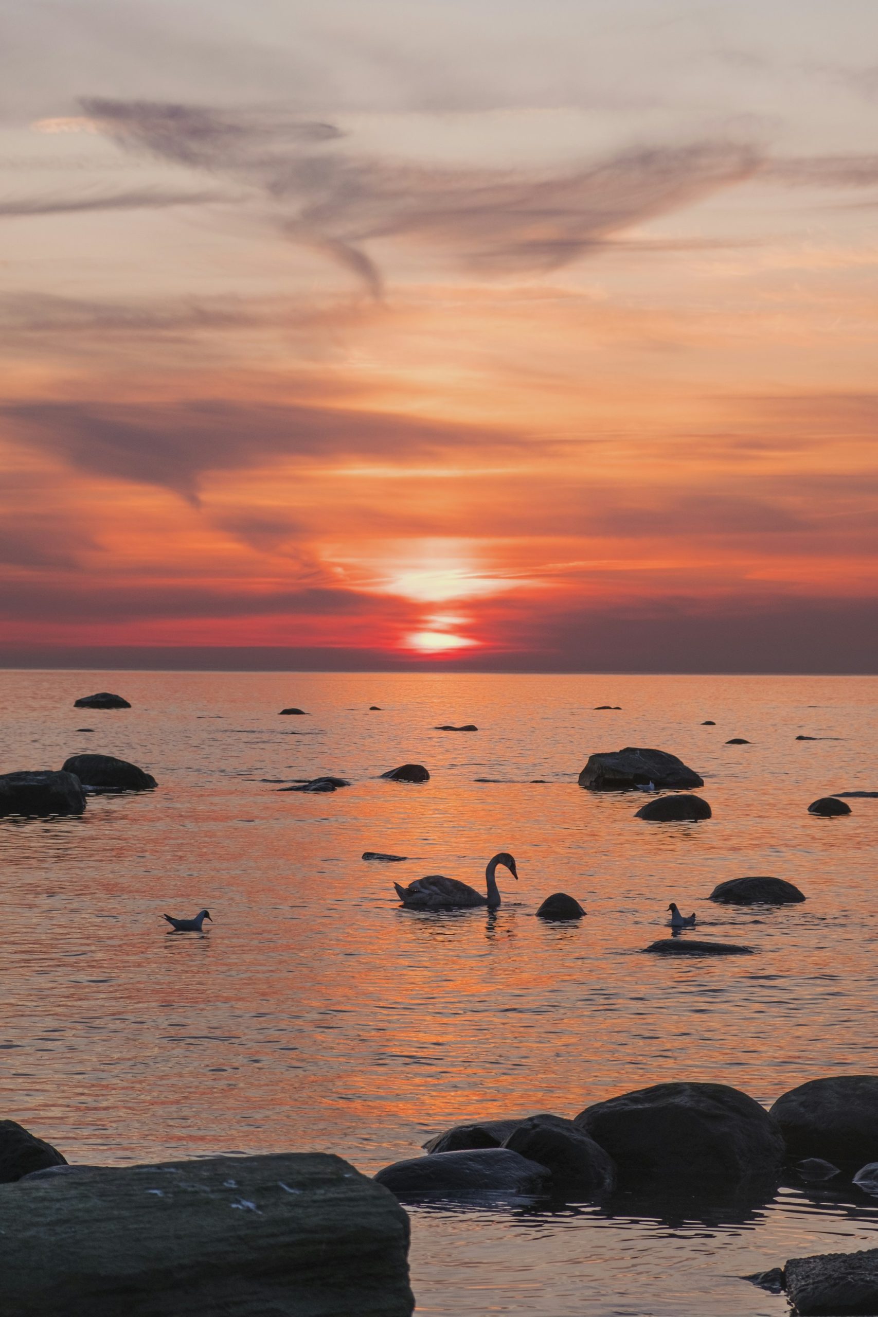 What is the difference between Baltic and Balkans?