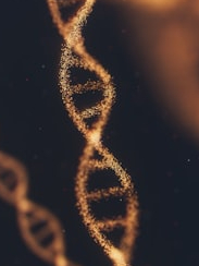 What is DNA, understand in easy language