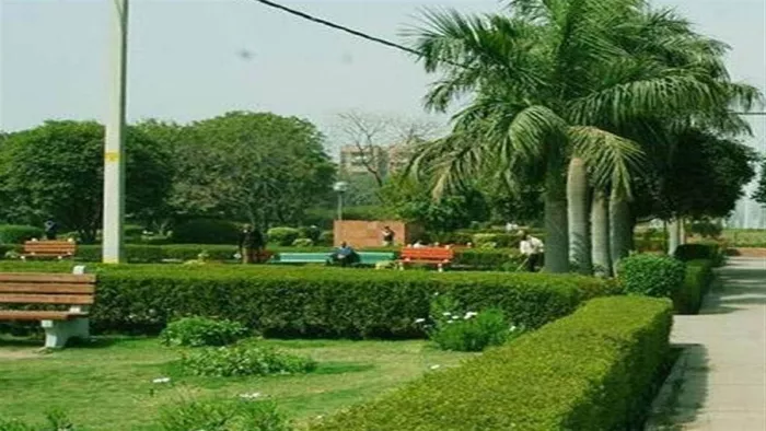 Hariyali will not decrease in the parks of Delhi, DDA has prepared this scheme – Delhi Parks Goiry DDAs -ola Treatment Plan Plan