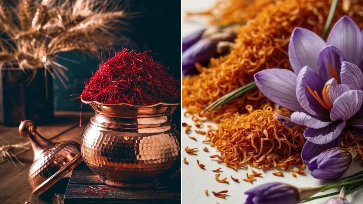 Which 10 best saffron brands in India are best? From Kashmir to Kitchen