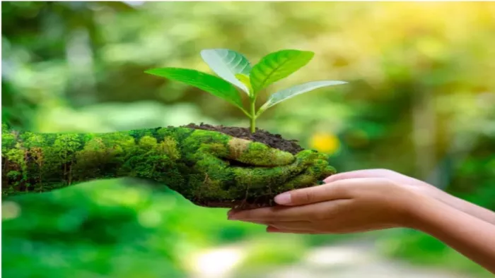 World Environmental Day: Single use will be attacked against plastic, a nationwide awareness campaign – attacked – single -use plastic ban government launching nationwide awareness campaign
