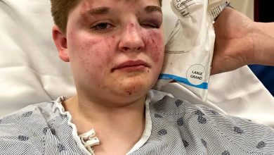 girl-attacked-at-carpentersville-mcdonald’s-‘fought-the-truth-is-laborious’-for-disfavor-crime-fee