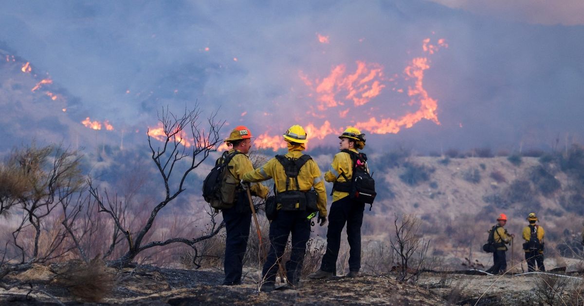 Exposure to forest fire smoke can reduce the chances of survival of patients with lung cancer
