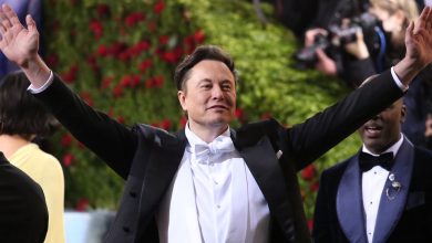Elon Musk Denies Alleged AFFAIR with Sergey Brin’s Wife – ryan