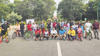 Learn to ride a bicycle as an adult