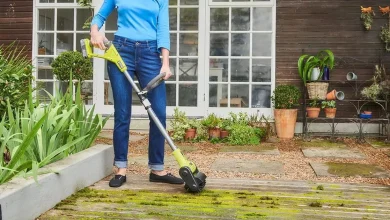 place-50-on-‘wise’-cordless-patio-cleaner-that-gets-rid-of-‘moss-and-weeds-in-a-few-minutes’