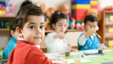 Link to apply for kindergarten 2026 in official and official schools languages – ryan