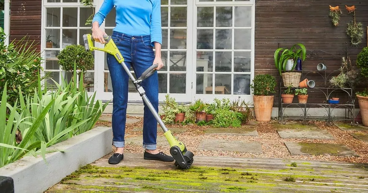 Save £ 50 on ‘Brilliant’ Cordless Patio Cleaner that Gets Rid of ‘Moss and Weeds in A Jiffy’ – ryan