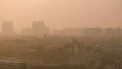 Caught on Cam: Moment when the Delhi-bound Indigo flight was about to touch, but dust storms got in the way | Today news