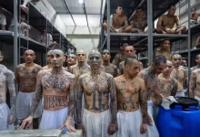 It is the most dangerous prison in the world, where the prisoners receive such a dangerous punishment, the soul will tremble