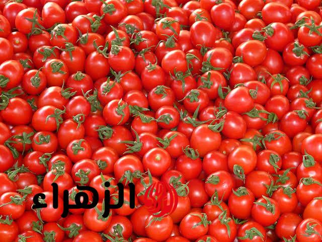 “It has a fatal poison” .. The government warned citizens against buying a dangerous type of “tomato” that destroys health and causes death … consciously approached it !!