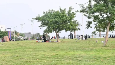 بين المنتزهات والحدائق والانشطة الترفيهية .. تعرفوا على جدول ومناطق الفعاليات في السعودية في…