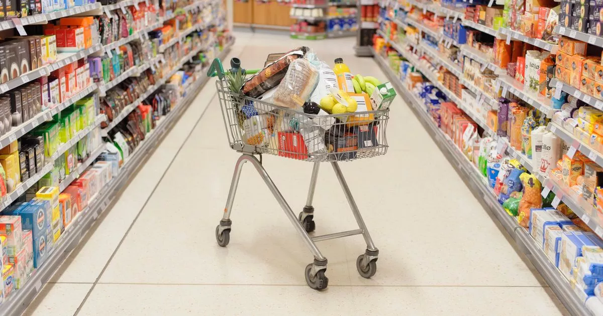 New Supermarket that is ‘like tesco but with Amazon delivery’ is launching in uk – ryan