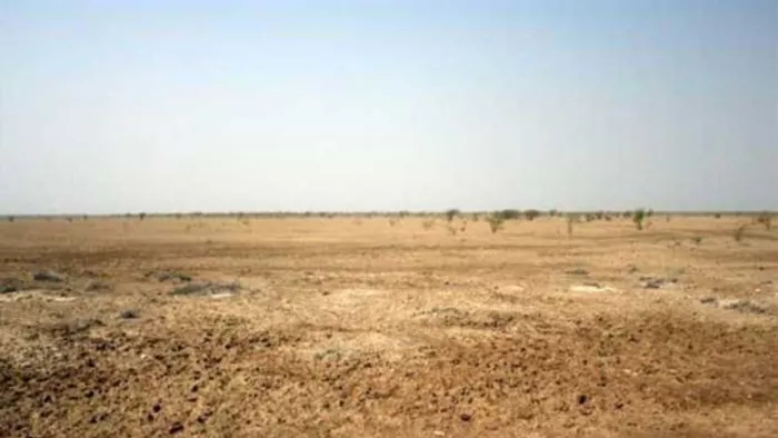 The land was obtained 29 years ago for development work, but not yet development, people demanded this claim – the Delhi City Development’s demands on vacant government land in Ghoga Village