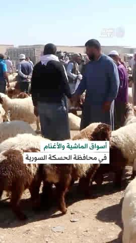 الركود يُخيّم على موسم الأضاحي في #سوريا رغم هبوط الأسعار #شاهد_الشرق_الأوسط