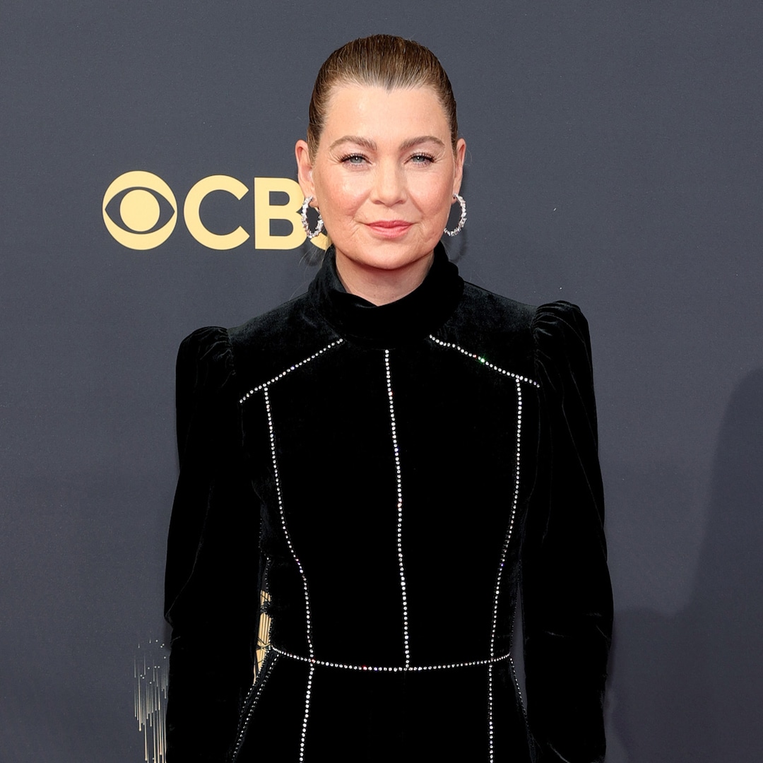 ellen-pompeo-detained-by-tsa,-bomb-squad-for-sunflower-seeds