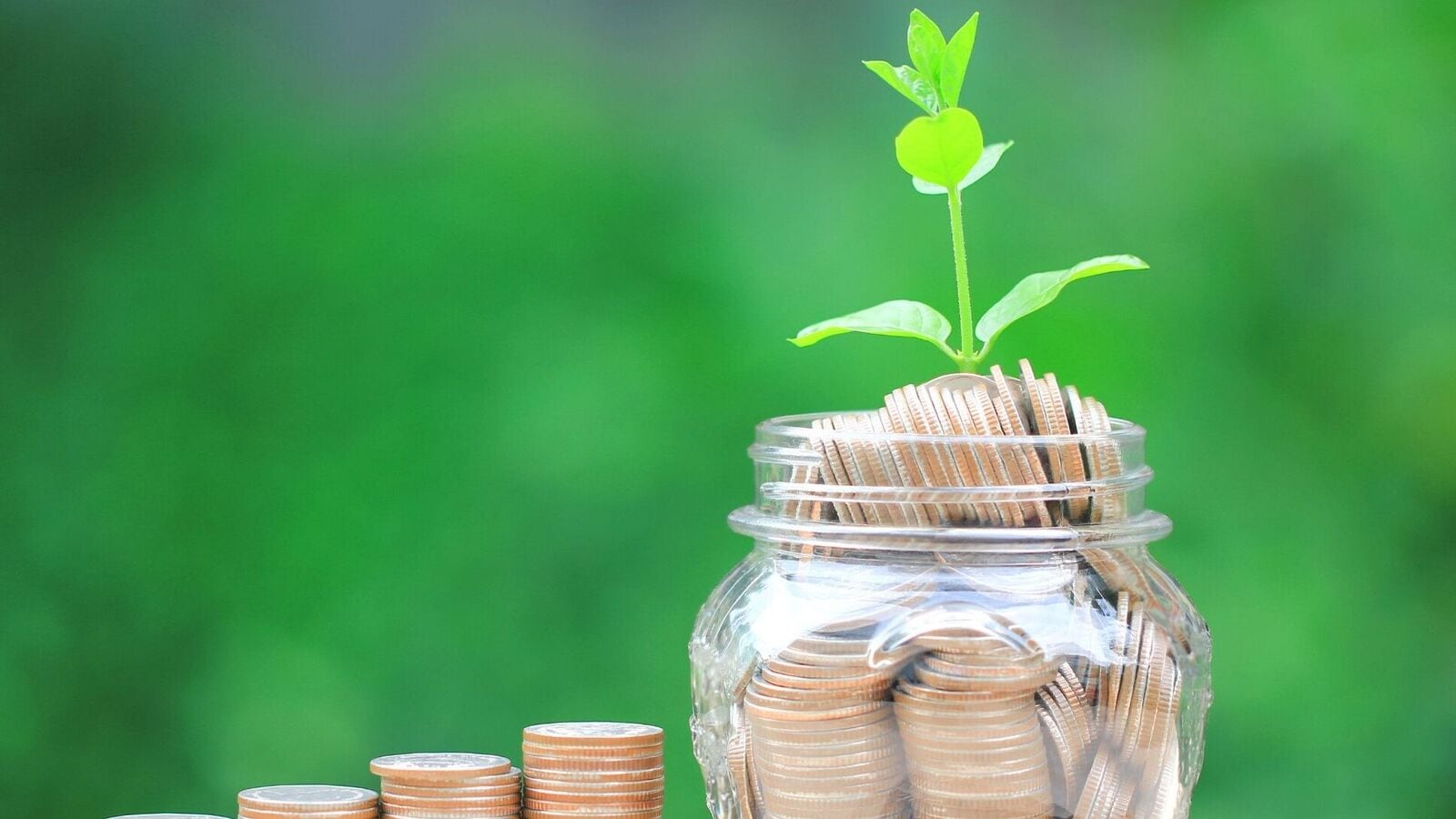 Independent? Here’s what banks expect before giving a personal loan | Mint