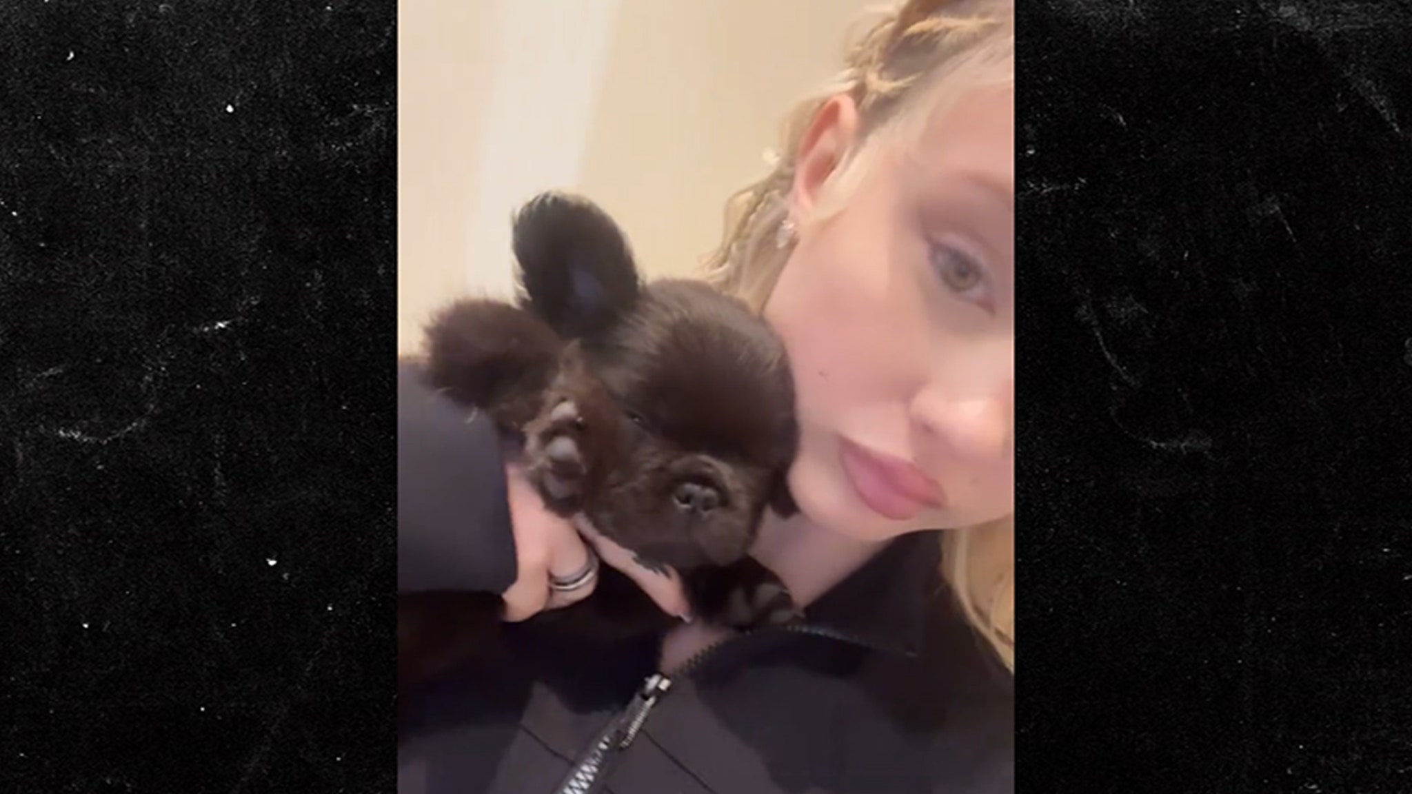 Alabama Barker Shares Video of New French Bulldog Puppy – ryan