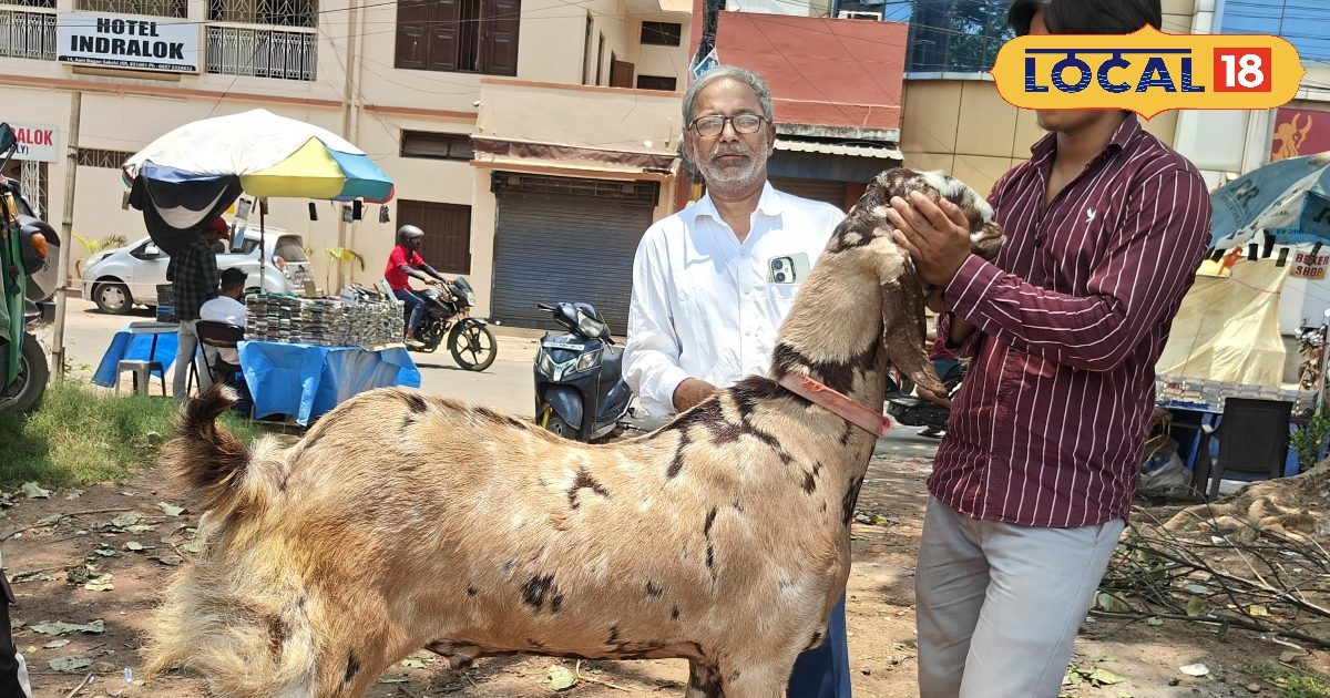 Bholu -Bok becomes vvip of Jharkhand, knowing the price will be consciously flying