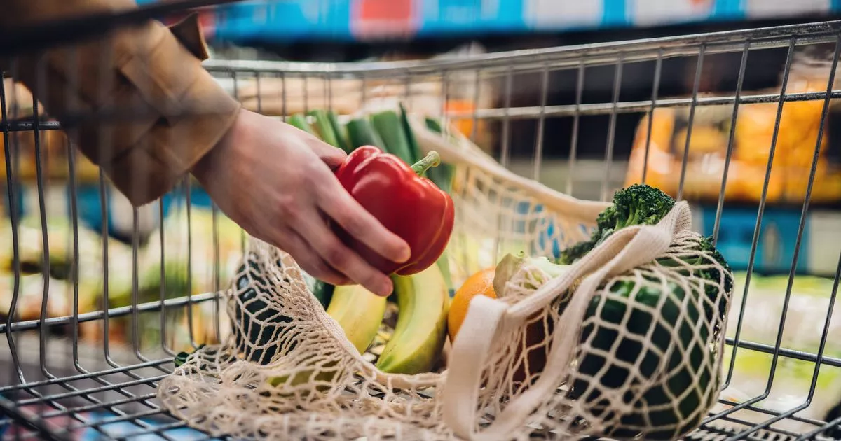 Cheapest Supermarket for April 2025 Named – and it’s £ 48 Less than Expensive Most – ryan
