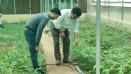 Jammu and Kashmir: ‘Hadp’ promotes horticulture in Poonch, doubling farmers’ income