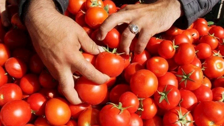 أسعار-الخروات-والفاكهة-في-سوق-العبور-اليوم-1-6-2025