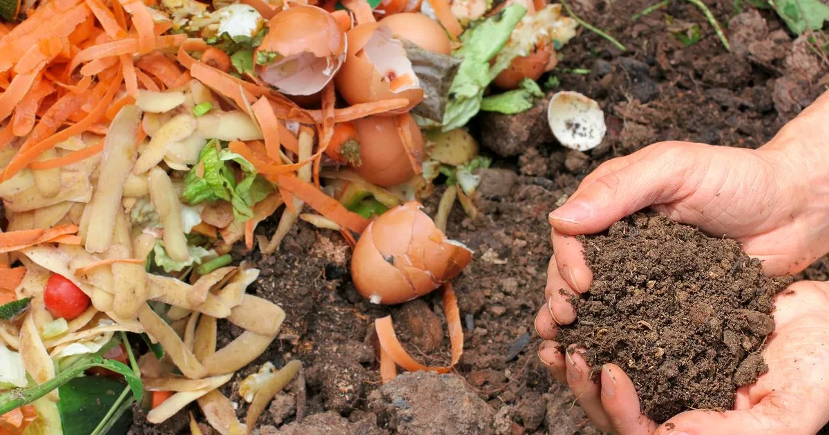 garpers-entreated-to-withhold-carrot-peels-and-bury-in-soil-abruptly