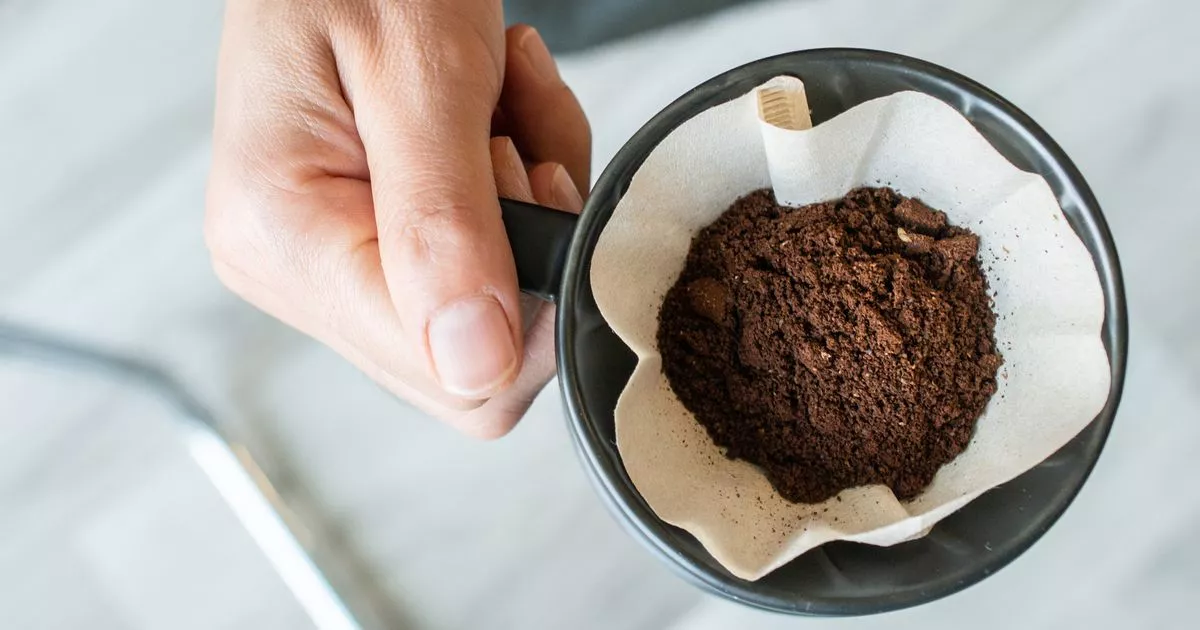 gardeners-entreated-to-attach-espresso-filters-for-recreation-altering-motive